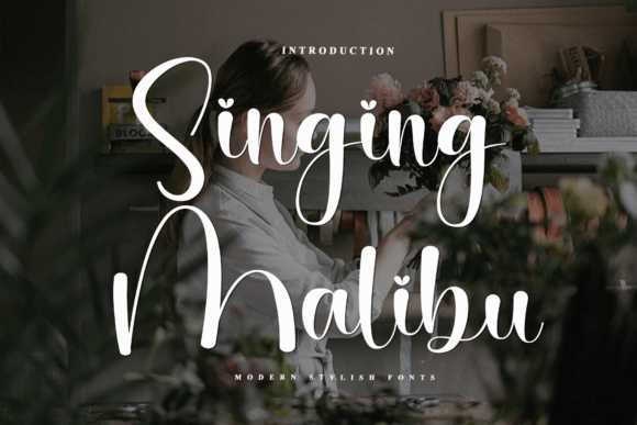 Elevating Brand Identity with the Timeless Charm of Singing Malibu