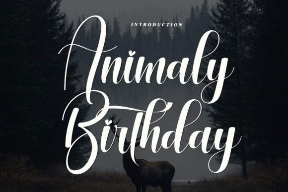 Evaluating Animaly Birthday: A Practical Guide to Modern Script Typography